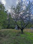 Pest megye - Szentendre