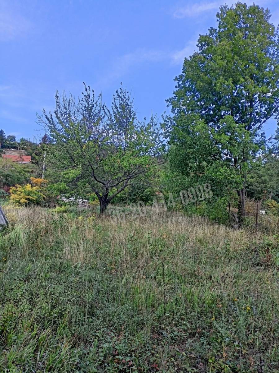 eladó  Építési telek, Szentendre
