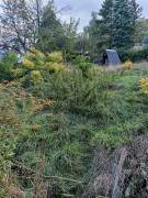 Pest megye - Szentendre