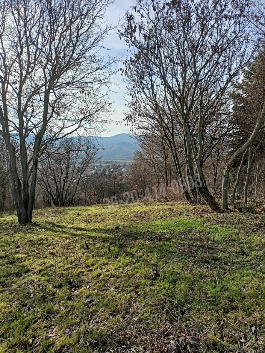 eladó  Építési telek, Szentendre