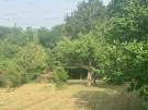 Pest megye - Szentendre