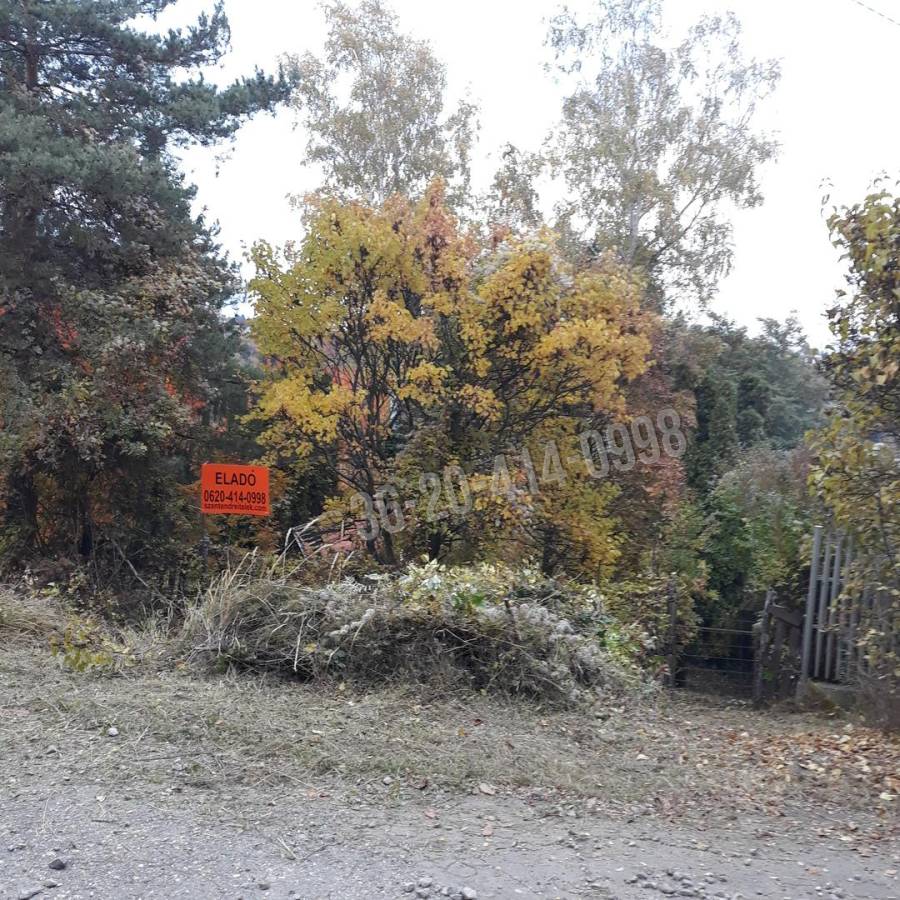 eladó  Üdülő, Szentendre