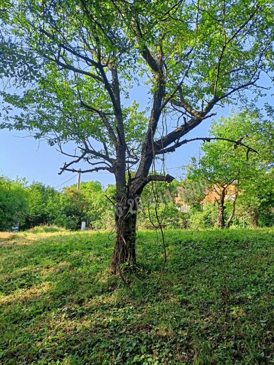 eladó  Üdülő, Szentendre