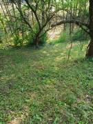 Pest megye - Szentendre